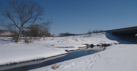 Sugar River in Winter
