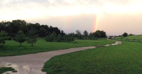 Rainbow at the Dog Park