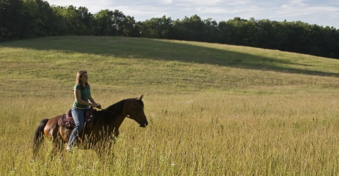 Horseback Riding (courtesy R. Farrell)