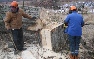 two volunteers with chainsaws