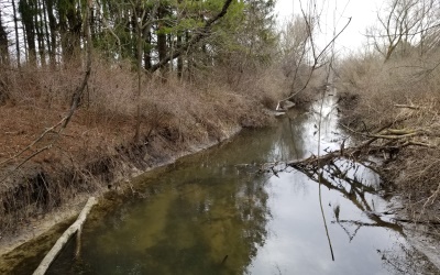 Badger Mill Creek