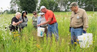 A group of volunteers collecting native seeds