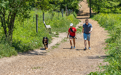 Two people walking on a trail with a dog running next to them