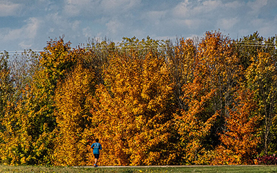 Person running on a paved trail with yellow and orange fall trees in the background.