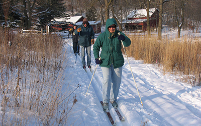 A row of people skiing on a snowy trail surrounded by brown prairie.