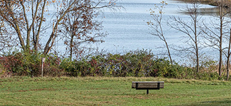 Memorial bench next to the water